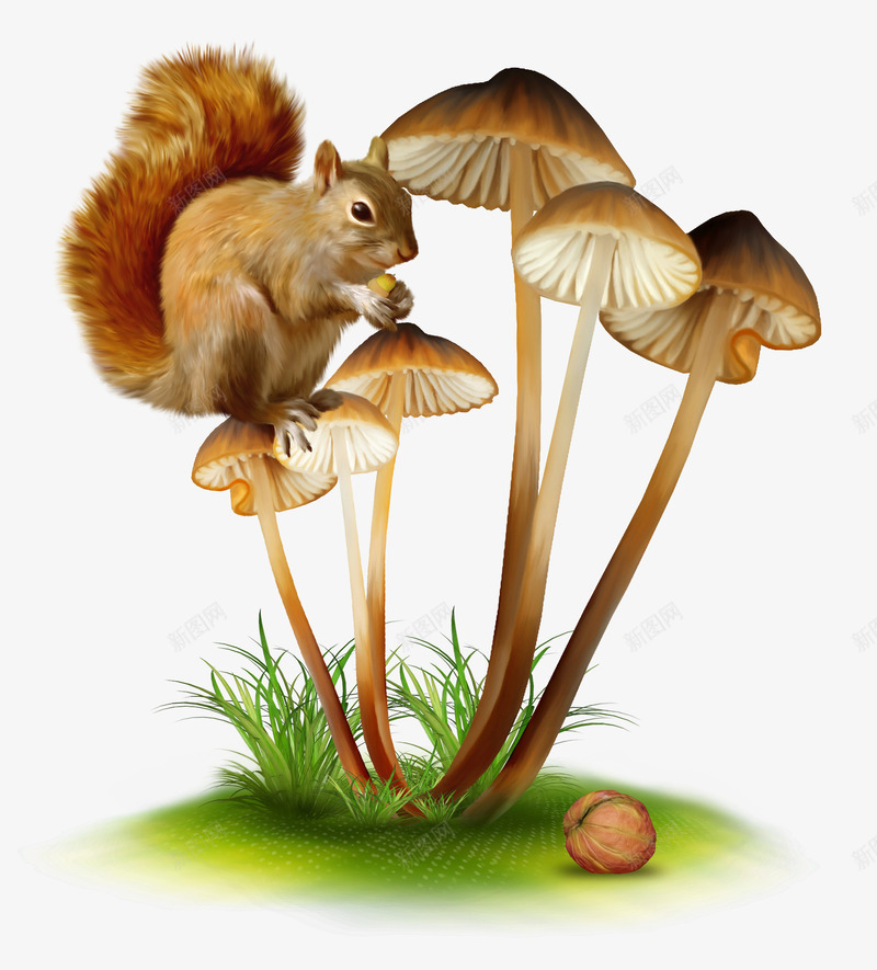童话世界卡通手绘蘑菇png免抠素材_新图网 https://ixintu.com 卡通 手绘 松鼠 童话世界 蘑菇