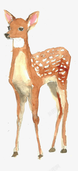 手绘水彩的小鹿素材