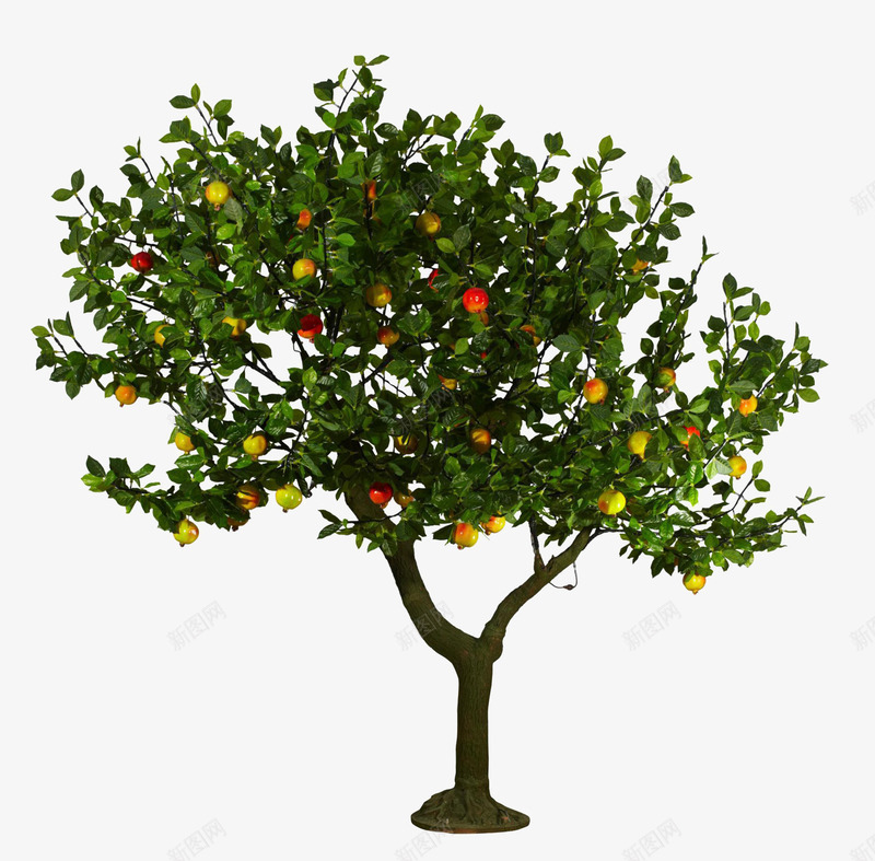 实物果树促销png免抠素材_新图网 https://ixintu.com 果园 果树 树叶 树木 水果 绿色 绿色果园 风景