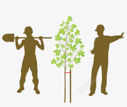 农民干活动作正在呵护树木的园林工高清图片