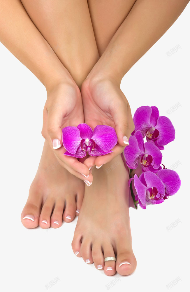 紫色的花和手脚png免抠素材_新图网 https://ixintu.com 产品实物 健康 手 玉足 紫色 脚 花 足浴