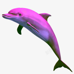 蒸汽波风格粉色海豚素材