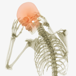 男人骨骼头部疼痛的人体模型高清图片