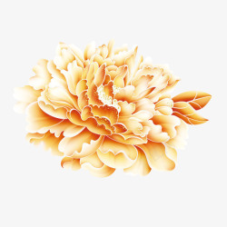 金色牡丹花素材金色牡丹花朵高清图片
