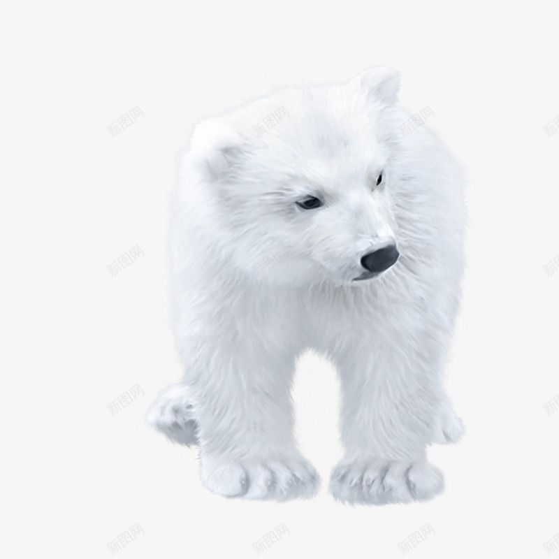 可爱的白熊png免抠素材_新图网 https://ixintu.com 北极熊图片 白熊 白熊元素 白熊图片