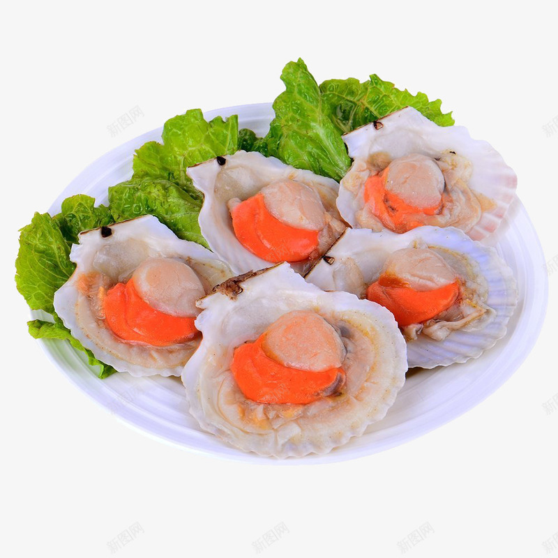 扇贝料理png免抠素材_新图网 https://ixintu.com 产品实物 海鲜 生菜 食物