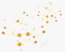 花朵漂浮物秋叶高清图片