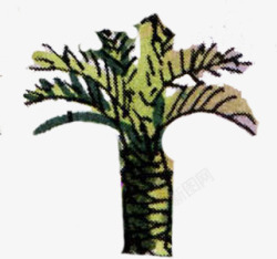 手绘椰树沙滩景观素材
