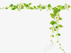 小雏菊矢量图春季绿色树叶白色雏菊高清图片