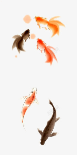 鱼装饰画手绘鲤鱼高清图片