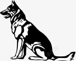 黑白画的狼狗素材