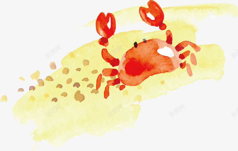 沙滩螃蟹png免抠素材_新图网 https://ixintu.com 卡通动物 插画 沙滩 沙滩动物 精美 螃蟹