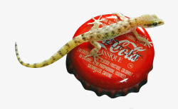 可乐盖壁虎可乐瓶盖高清图片