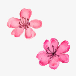 粉红春天花朵的照片水彩花朵唯美春季樱花桃花矢量图高清图片