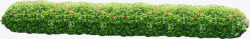 ps灌木丛室外景观图元素小矮灌木丛高清图片