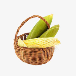秋作物篮子里的黄色玉米棒高清图片