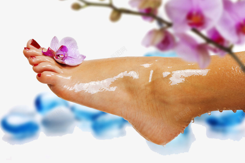 足浴的脚和花png免抠素材_新图网 https://ixintu.com 产品实物 健康 花 足浴 足浴的脚