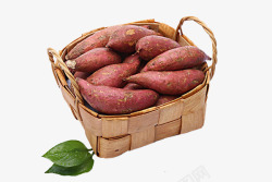 淀粉食物实物餐饮一筐红薯高清图片