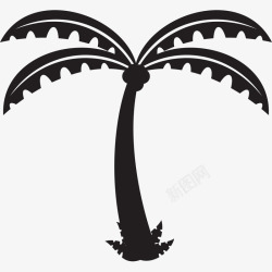 卡通黑色线条沙滩椰子树素材