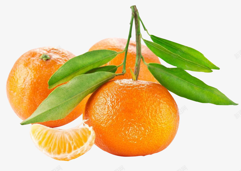 有叶子的橘子png免抠素材_新图网 https://ixintu.com 一瓣橘子 一筐橘子 吃的 好吃的水果png 柑橘 橘子 食物
