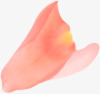 创意水彩红色的花瓣效果png免抠素材_新图网 https://ixintu.com 创意 效果 水彩 红色 花瓣