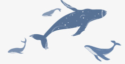 海豚手绘梦幻海洋装饰插图海豚鲸鱼插高清图片