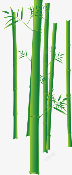 水彩绿色竹林矢量图素材