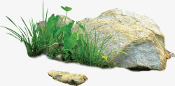 草丛堆免抠白色石头绿色草丛环境高清图片