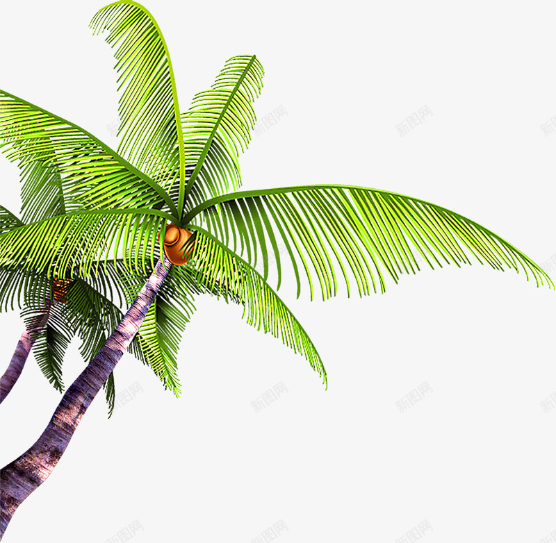 摄影海报沙滩椰子树png免抠素材_新图网 https://ixintu.com 摄影 椰子树 沙滩 海报