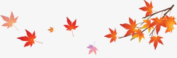 秋风漂浮的枯叶高清图片