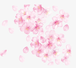 散落花瓣漂浮的樱花高清图片