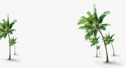 夏日海报植物沙滩椰子树素材