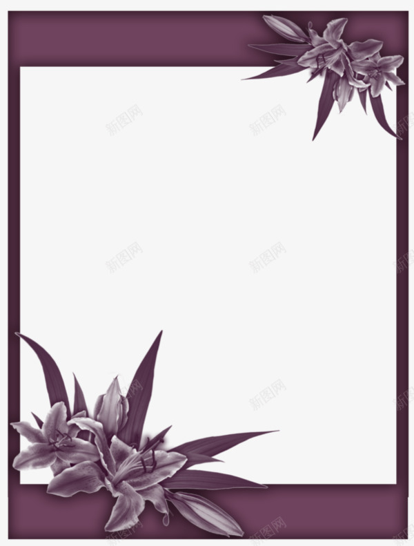 紫色鲜花背景边框png免抠素材_新图网 https://ixintu.com 相框 装饰品 边框 鲜花