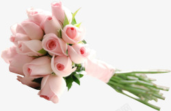 新鲜玫瑰粉色玫瑰花束高清图片