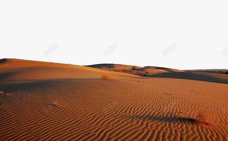 大沙漠png免抠素材_新图网 https://ixintu.com 大沙漠 极限环境 沙漠素材 环境素材 黄沙