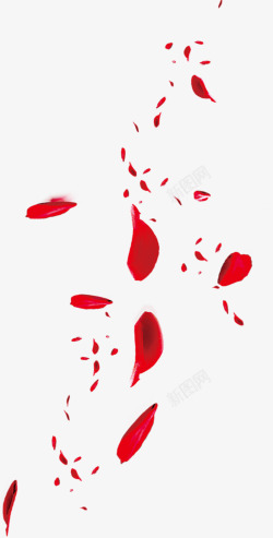漂浮的花瓣背景红色情人节漂浮花瓣高清图片