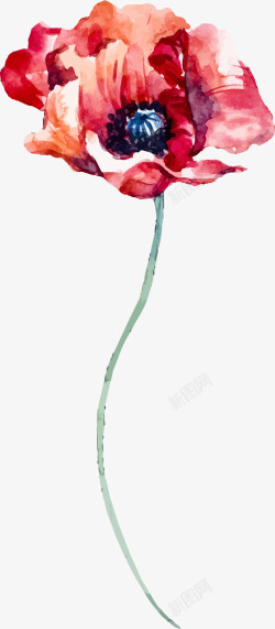 红色的罂粟花罂粟花绘画图矢量图高清图片