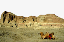 戈壁的骆驼素材