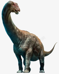 恐龙灭绝布满颗粒的迪亚曼蒂纳龙属实物高清图片