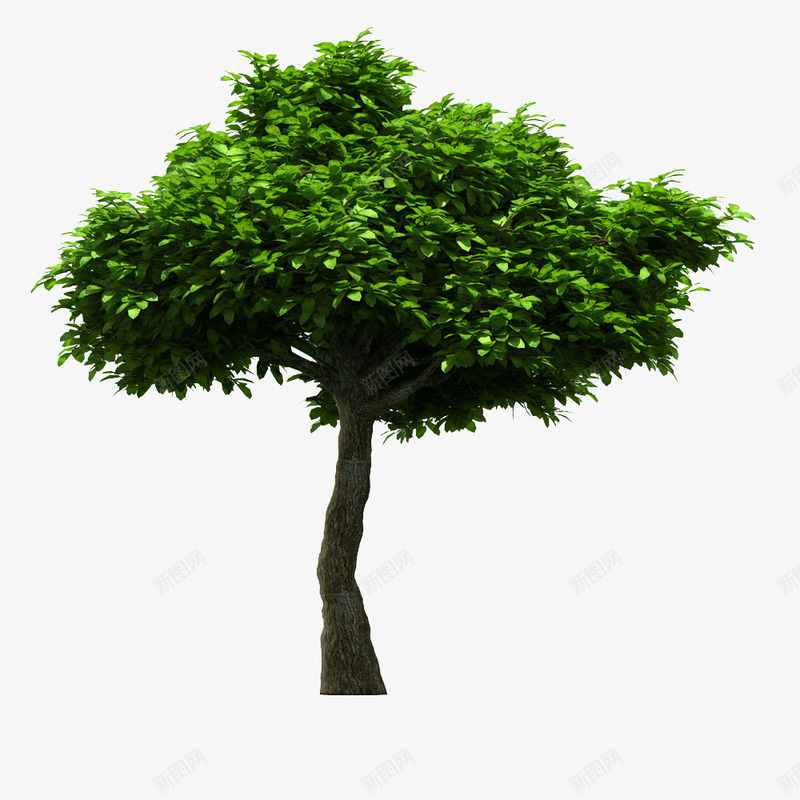 绿色环保大树png免抠素材_新图网 https://ixintu.com 大自然 天然大树 树叶 树木 植物 绿色