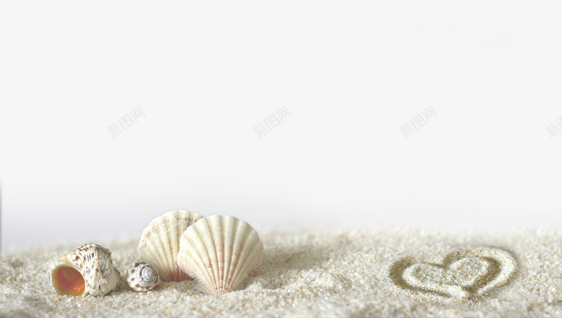 沙滩元素png免抠素材_新图网 https://ixintu.com 沙滩 海滩 海螺 爱心 贝壳
