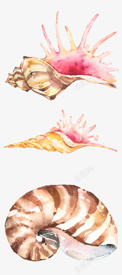 夏天海边海报手绘水彩精美海螺高清图片