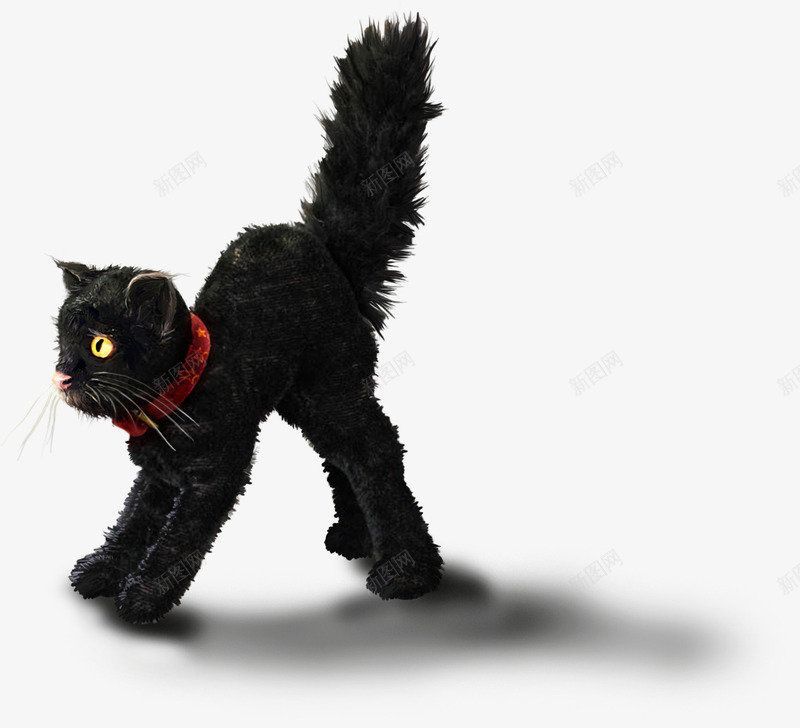 恐惧的猫png免抠素材_新图网 https://ixintu.com 恐惧 猫 竖毛 装饰 铃铛 阴影 黑猫