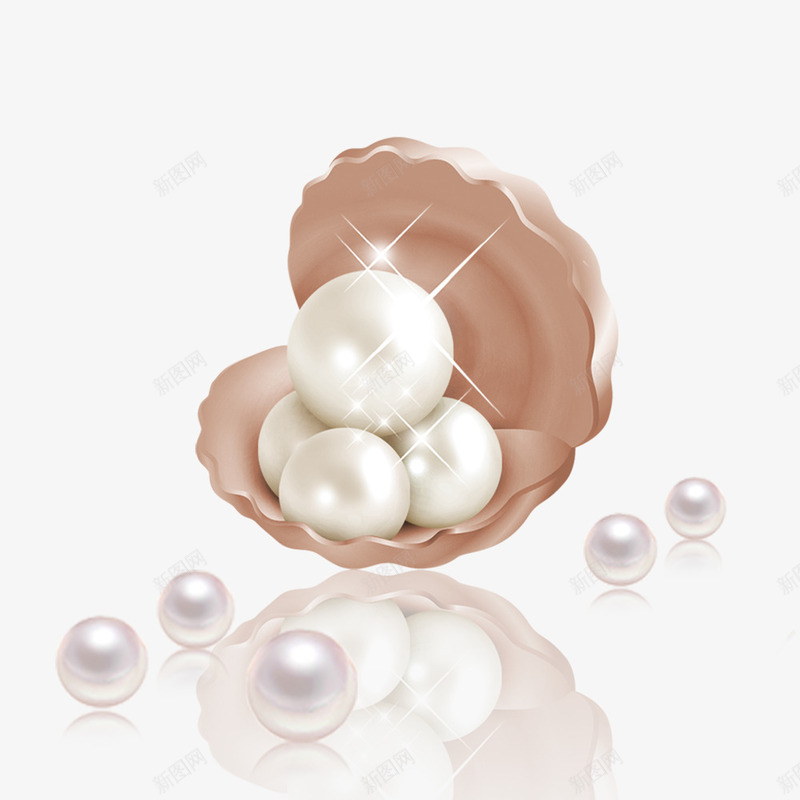 贝壳里的珍珠png免抠素材_新图网 https://ixintu.com 珍珠 珠宝 贝壳 项链