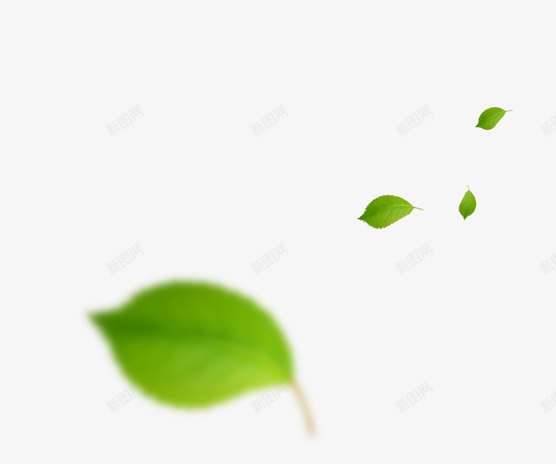 飘落的叶子png免抠素材_新图网 https://ixintu.com 树叶 设计 飘落的叶子