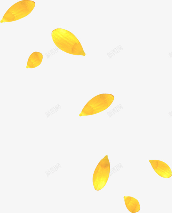 黄色花瓣飘落元素png免抠素材_新图网 https://ixintu.com 免扣png 漂浮花瓣 花瓣元素 黄色花瓣