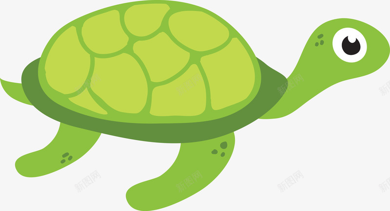卡通海龟png免抠素材_新图网 https://ixintu.com 插画 海洋生物 绿色