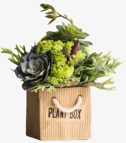 简约木质挂钟购物袋花瓶的植物摆件高清图片