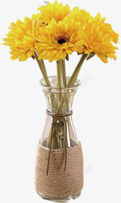雏菊花瓶花瓶里的黄色雏菊高清图片