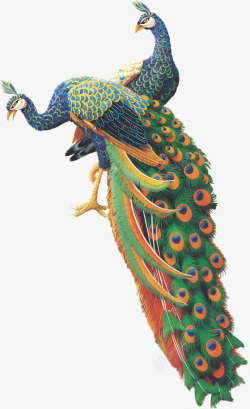 孔雀绿色尾巴两只孔雀手绘高清图片